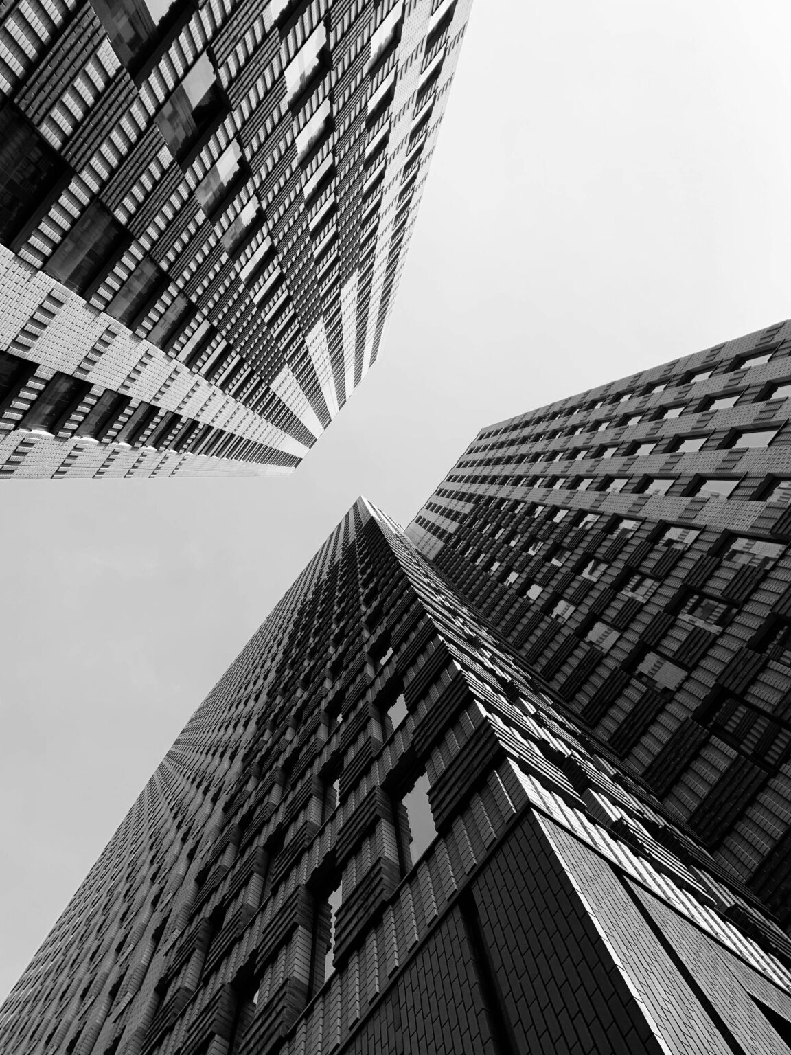 pexels-david-underland-3277468